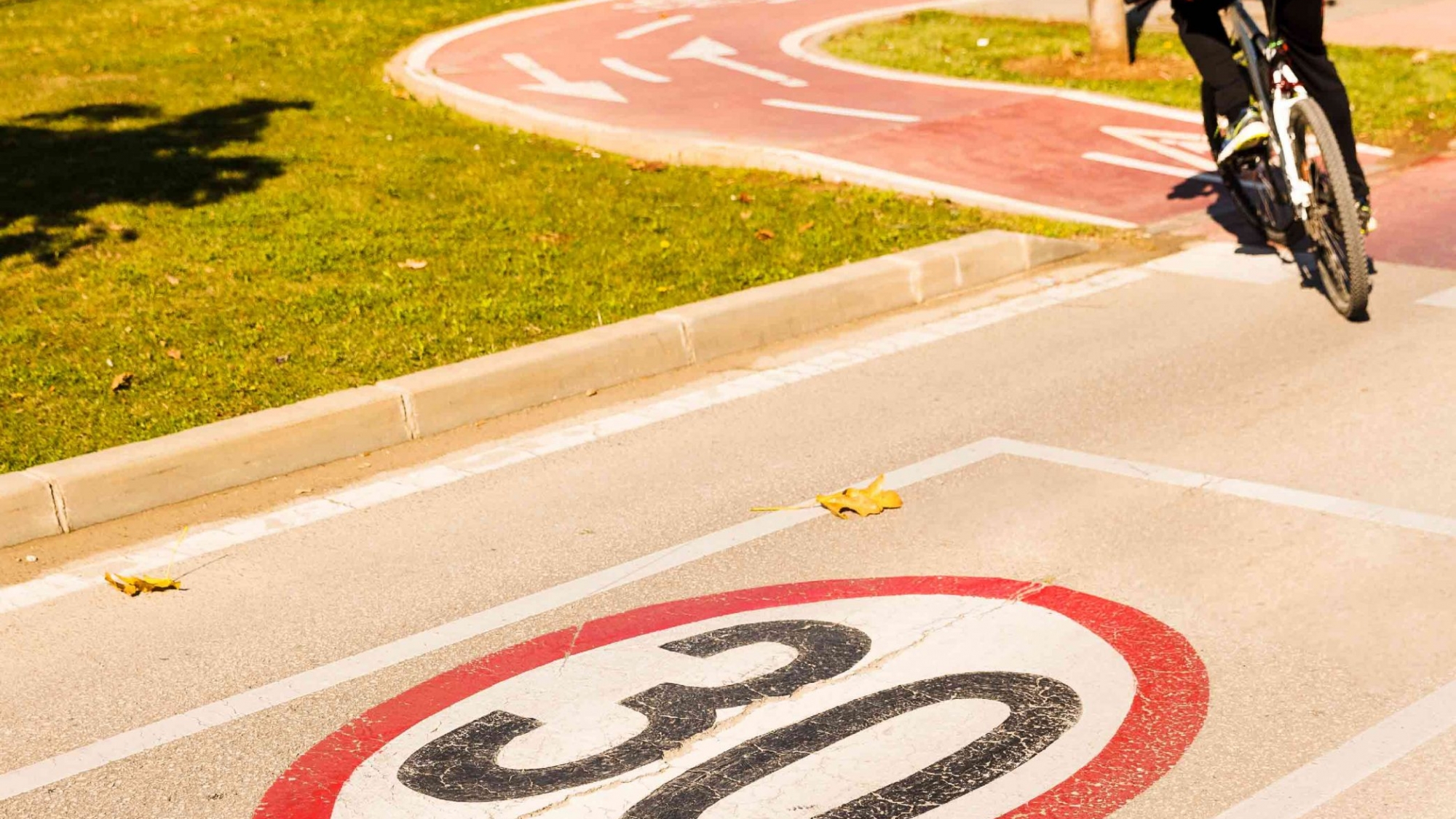 30-speed-limit-sign-cycle-lane-park_S